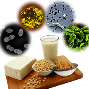 peran probiotik untuk kesehatan