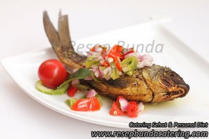 Ikan Dabu-dabu
