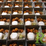 Paket Nasi Box Murah Di Bandung