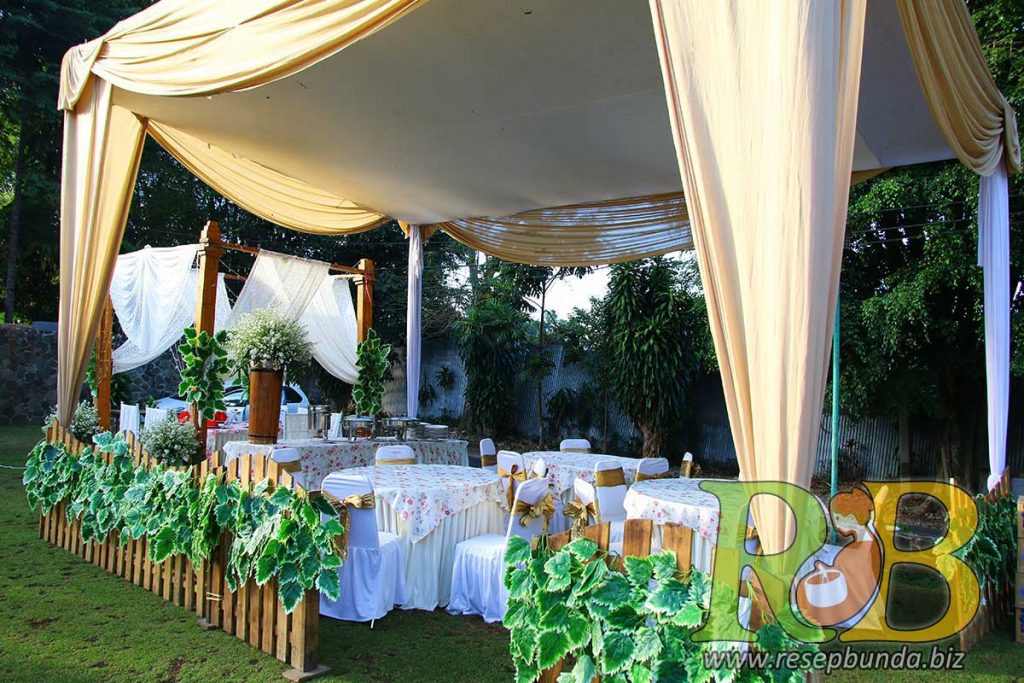 Area VIP
